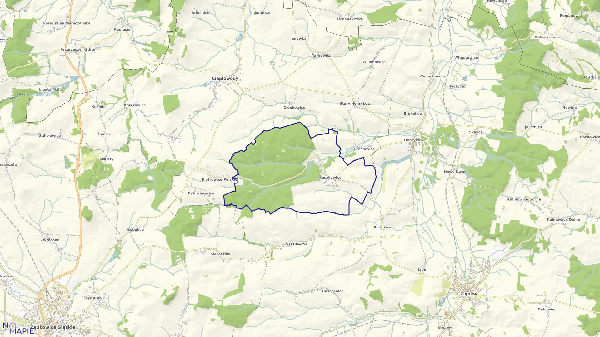 Mapa obrębu MUSZKOWICE w gminie Ciepłowody